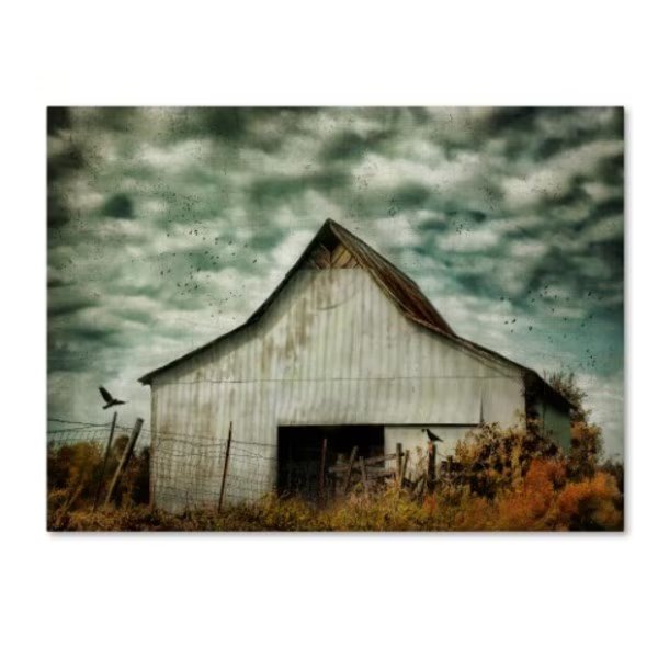 Jai Johnson 'Where The Crows Roost In Autumn' Canvas Art, 35x47, Trademark Fine Art, Mfr#: ALI14230-C3547GG